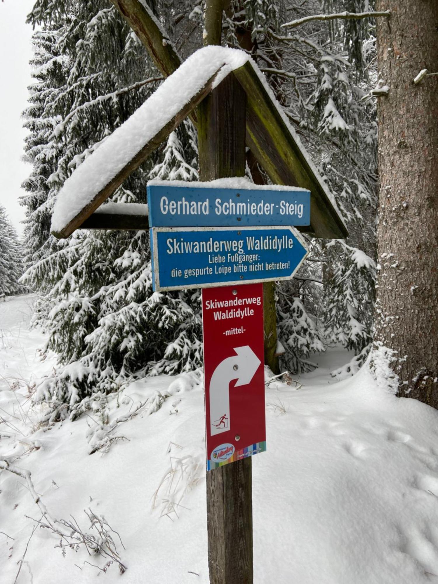 Zugspitze Apartment Sonn.Schein Altenberg Eksteriør billede